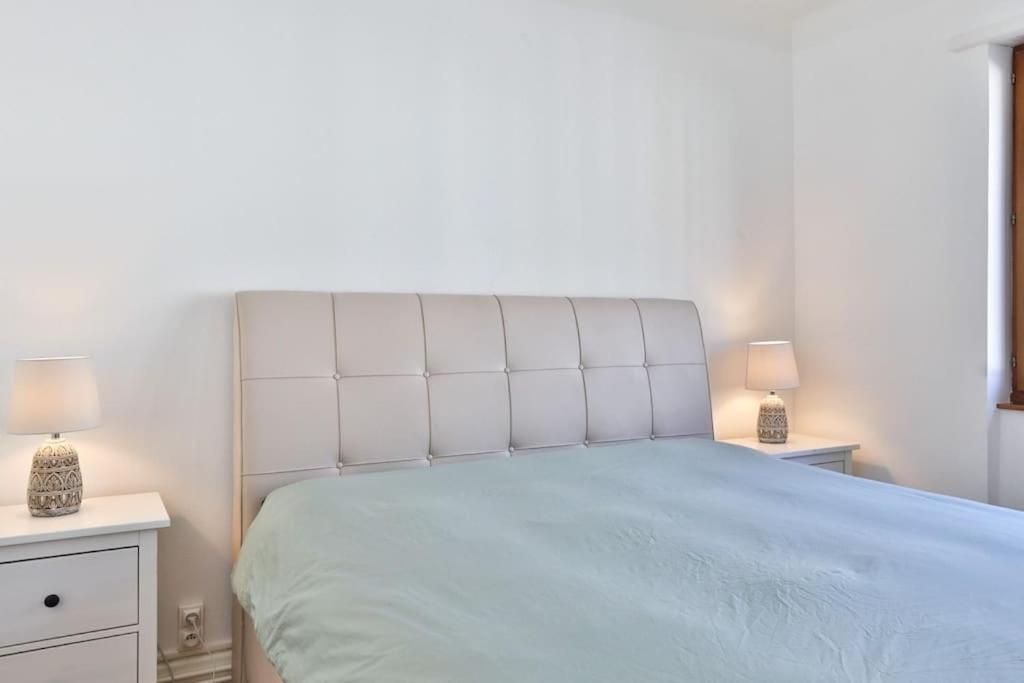 Suite Tres Moderne Et Cosy, Proche Centre-Ville, Mulhouse Centre מראה חיצוני תמונה